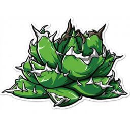 姬嚴龍 デフォルメ アガベ チタノタ アイコン