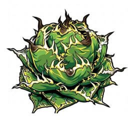 フィリグリー デフォルメ アガベ チタノタ アイコン