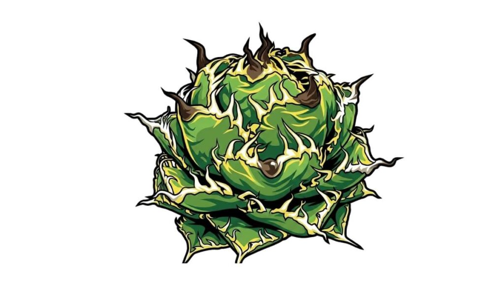 フィリグリー デフォルメ アガベ チタノタ アイコン サムネ