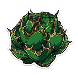 黒鯨 デフォルメ アガベ チタノタ アイコン