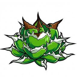 白火焰 デフォルメ アガベ チタノタ アイコン