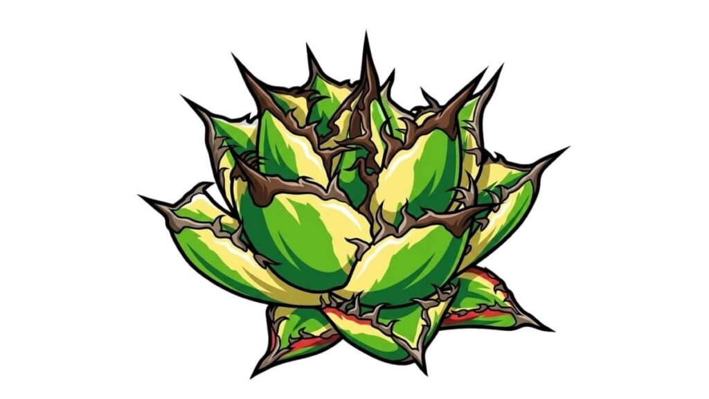 スナグルトゥース デフォルメ アガベ チタノタ アイコン サムネ