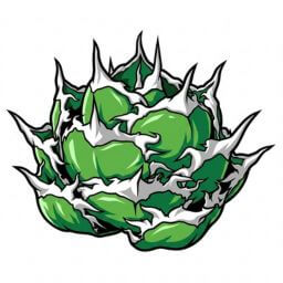 烈焔 デフォルメ アガベ チタノタ アイコン