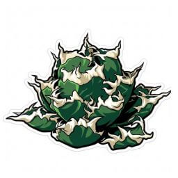 狂刺夕映 デフォルメ アガベ チタノタ アイコン