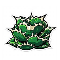 金剛 デフォルメ アガベ チタノタ アイコン