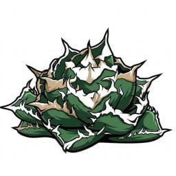 清櫻 デフォルメ アガベ チタノタ アイコン