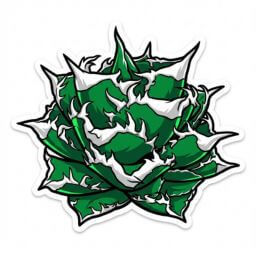 大白鯊 デフォルメ アガベ チタノタ アイコン