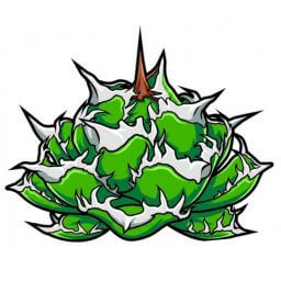 皇冠 デフォルメ アガベ チタノタ アイコン