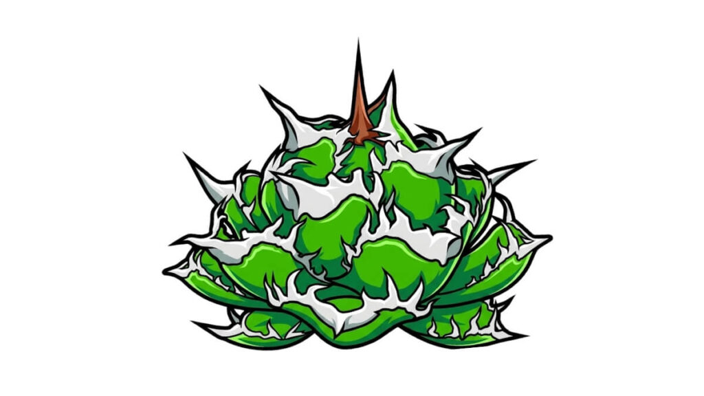 皇冠 デフォルメ アガベ チタノタ アイコン サムネ