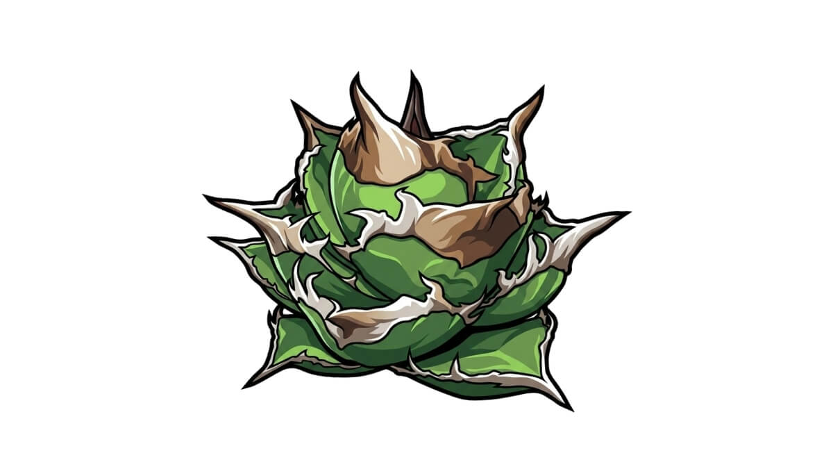 白犀牛 デフォルメ アガベ チタノタ アイコン サムネ