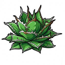 海王 デフォルメ アガベ チタノタ アイコン