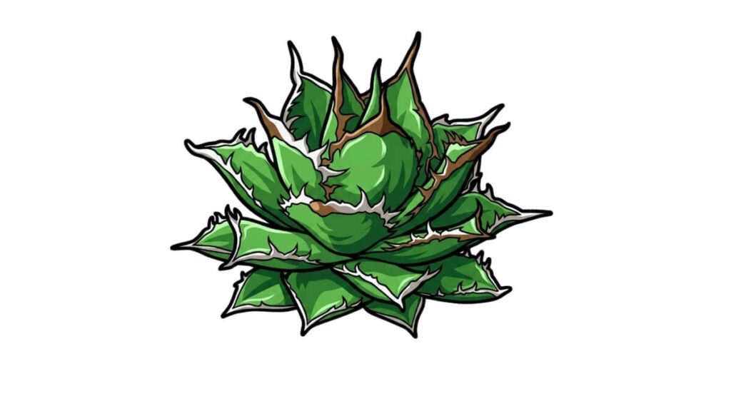 海王 デフォルメ アガベ チタノタ アイコン サムネ