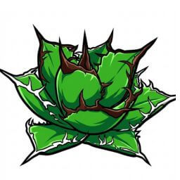 覇王龍 デフォルメ アガベ チタノタ アイコン