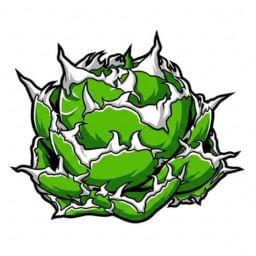 金鯨 デフォルメ アガベ チタノタ アイコン