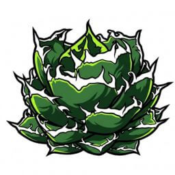 鬼爪 デフォルメ アガベ チタノタ アイコン