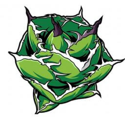 柊月 デフォルメ アガベ チタノタ アイコン