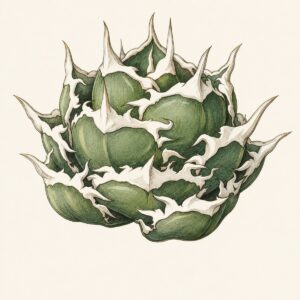 烈焔の標本画(生成イラスト)