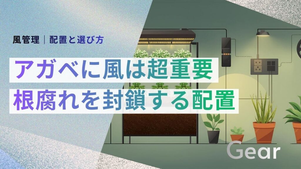 サブ： 風管理｜配置と選び方 メイン： 首振り機能は今すぐ切れ 根腐れを封鎖する配置