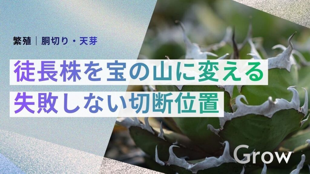 サブ： 繁殖｜胴切り・天芽 メイン： 徒長株を宝の山に変える 失敗しない切断位置