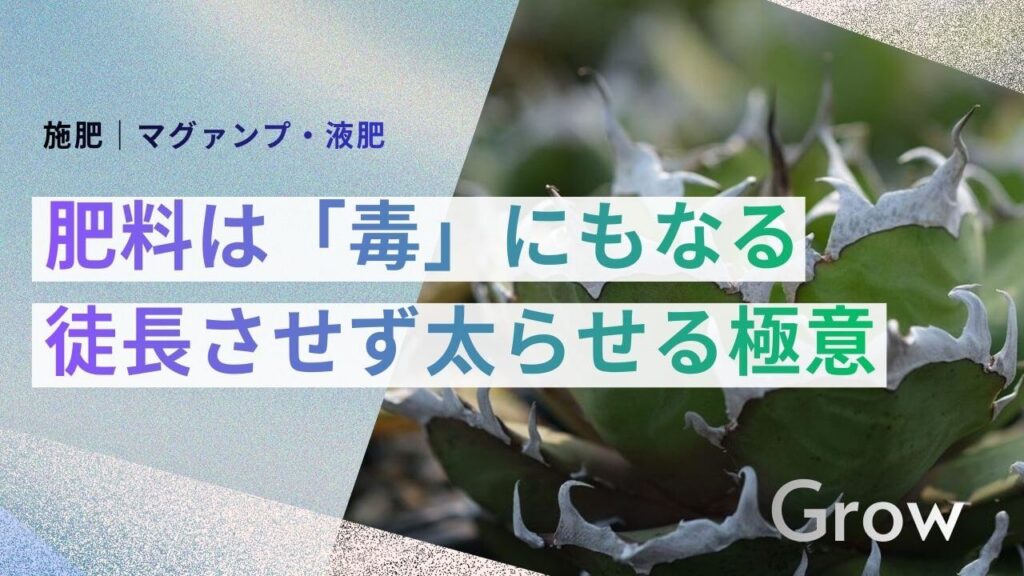 サブ： 施肥｜マグァンプ・液肥 メイン： 肥料は「毒」にもなる 徒長させず太らせる極意