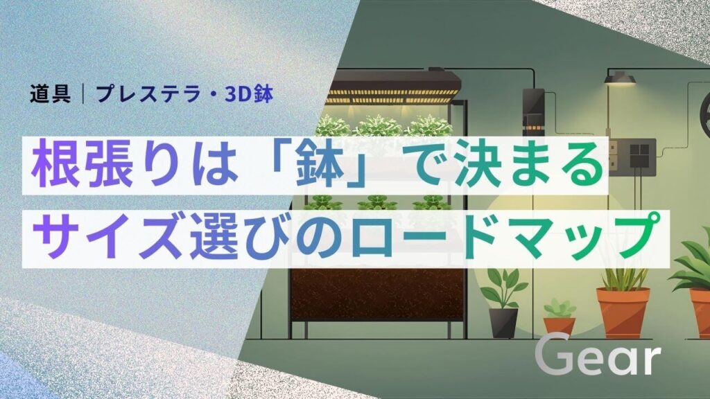サブ： 道具｜プレステラ・3D鉢 メイン： 根張りは「鉢」で決まる サイズ選びのロードマップ