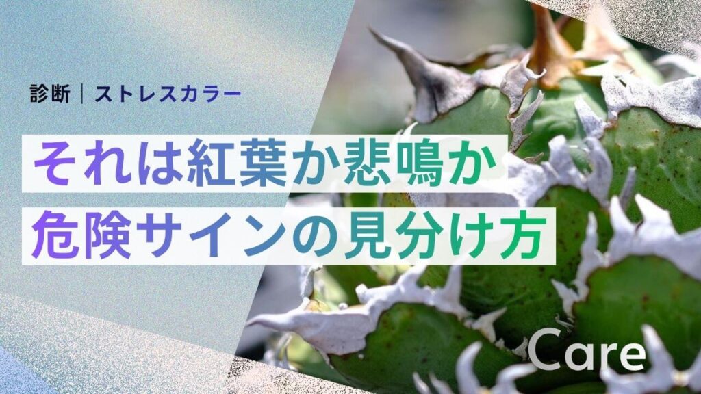 サブ： 診断｜ストレスカラー メイン： それは紅葉か悲鳴か 危険サインの見分け方