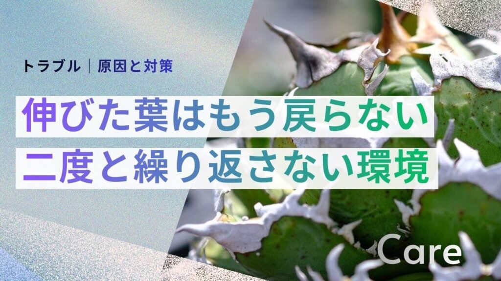 サブ： トラブル｜原因と対策 メイン： 伸びた葉はもう戻らない 二度と繰り返さない環境
