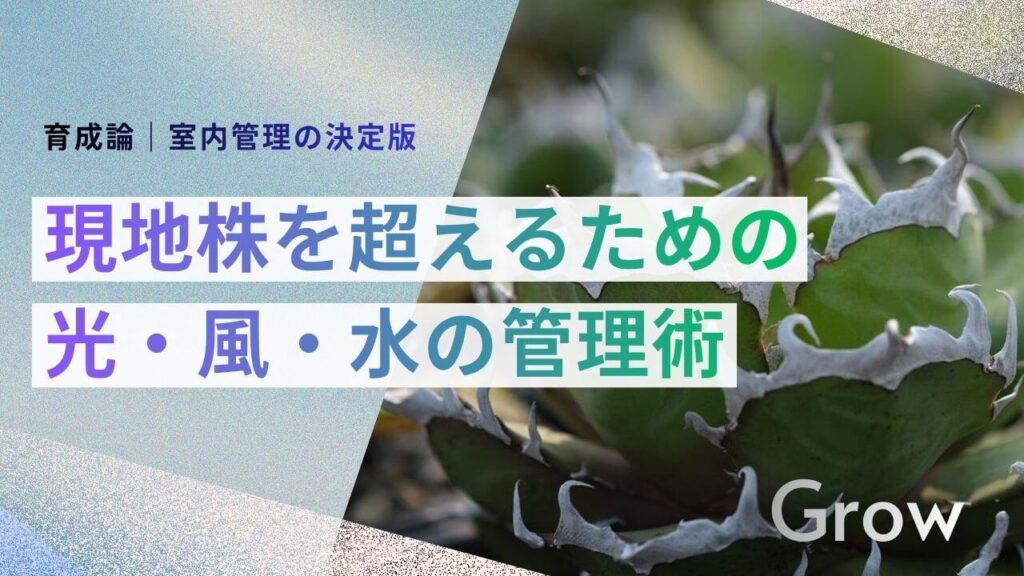 サブ： 育成論｜室内管理の決定版 メイン： 現地株を超えるための 光・風・水の管理術