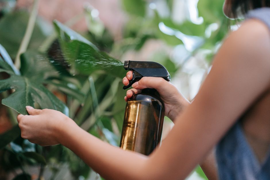 葉に薬剤を散布するイメージ