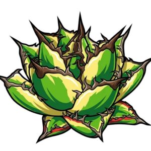 スナグルトゥース デフォルメ アガベ チタノタ アイコン サムネ