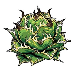 フィリグリー デフォルメ アガベ チタノタ アイコン サムネ